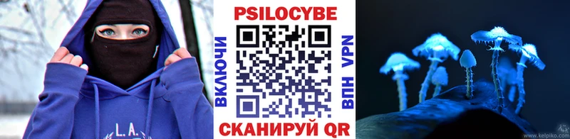 Псилоцибиновые грибы Psilocybe  Томари 